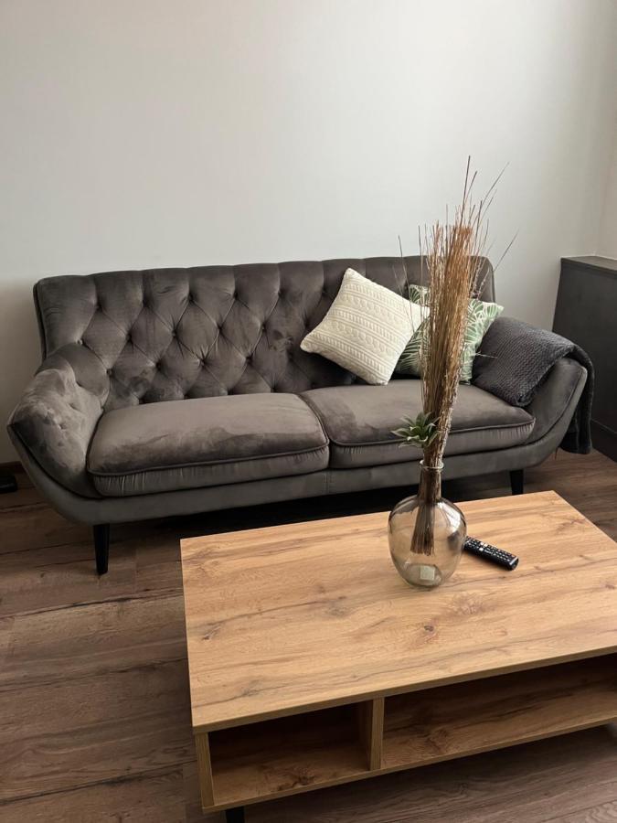 Luxusní nově zrekonstruovaný Apartmán 2kk - 47m2 - Ostrava Centrum Exterior foto