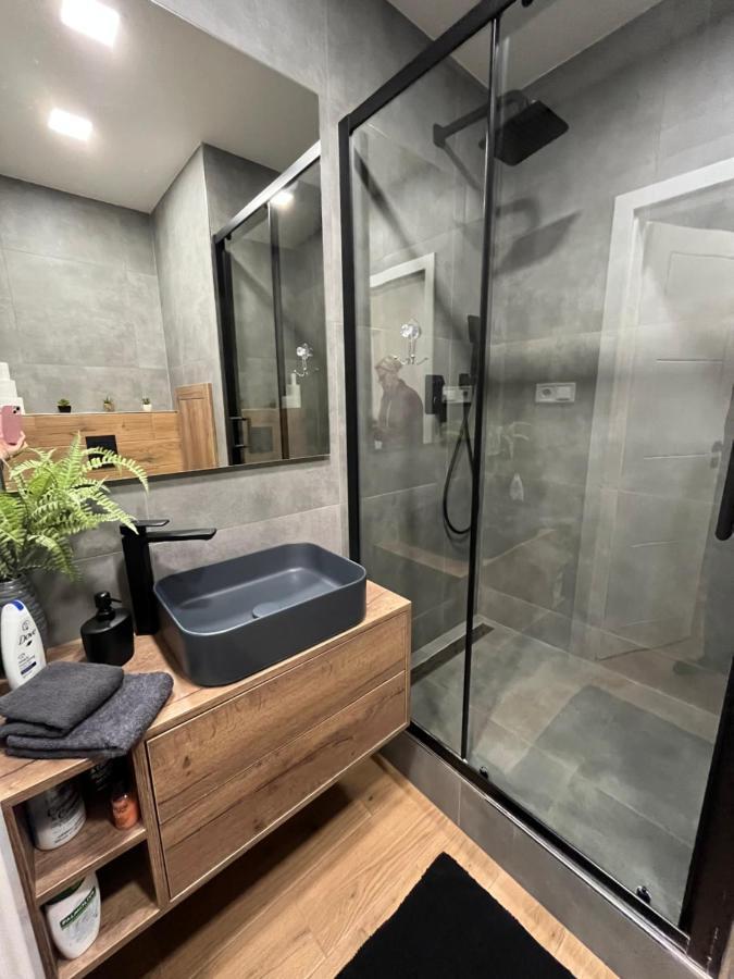 Luxusní nově zrekonstruovaný Apartmán 2kk - 47m2 - Ostrava Centrum Exterior foto